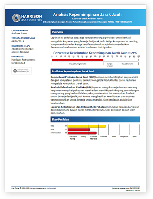 Remote Work Analysis - Leadership Sample Report