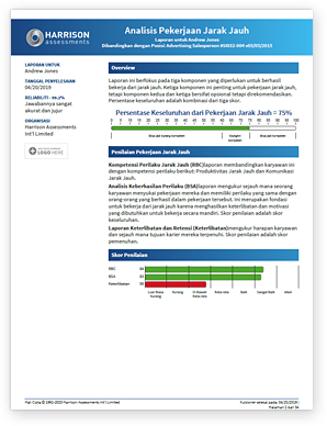 Remote Work Analysis Sample Report